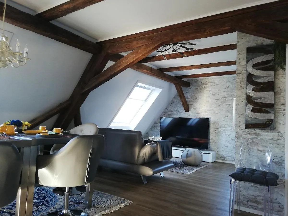Apartment Loft 2020 Hirmer Zirndorf Germany